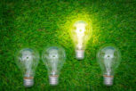 Eco concept - light bulb grow in the grass Eco concept - light bulb grow in the grass