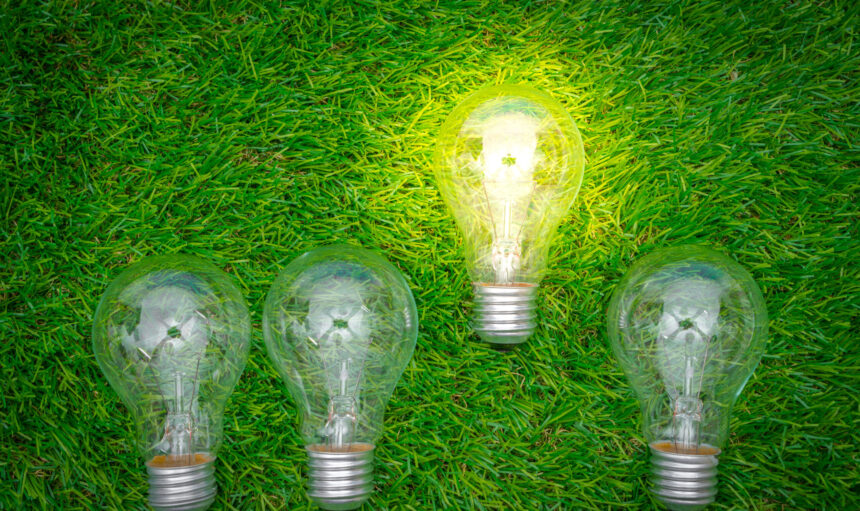 Eco concept - light bulb grow in the grass Eco concept - light bulb grow in the grass