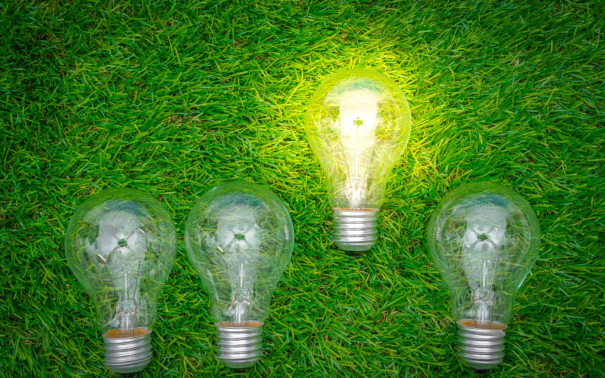 Eco concept - light bulb grow in the grass Eco concept - light bulb grow in the grass